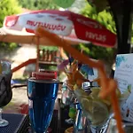 Mavibelce Hotel